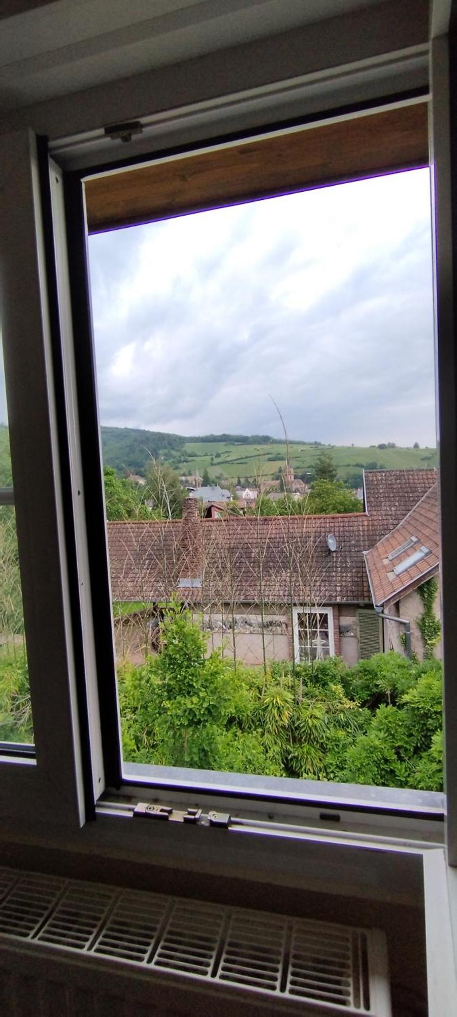 Отель La Ferme Des Perles Noires Рибовиль Экстерьер фото